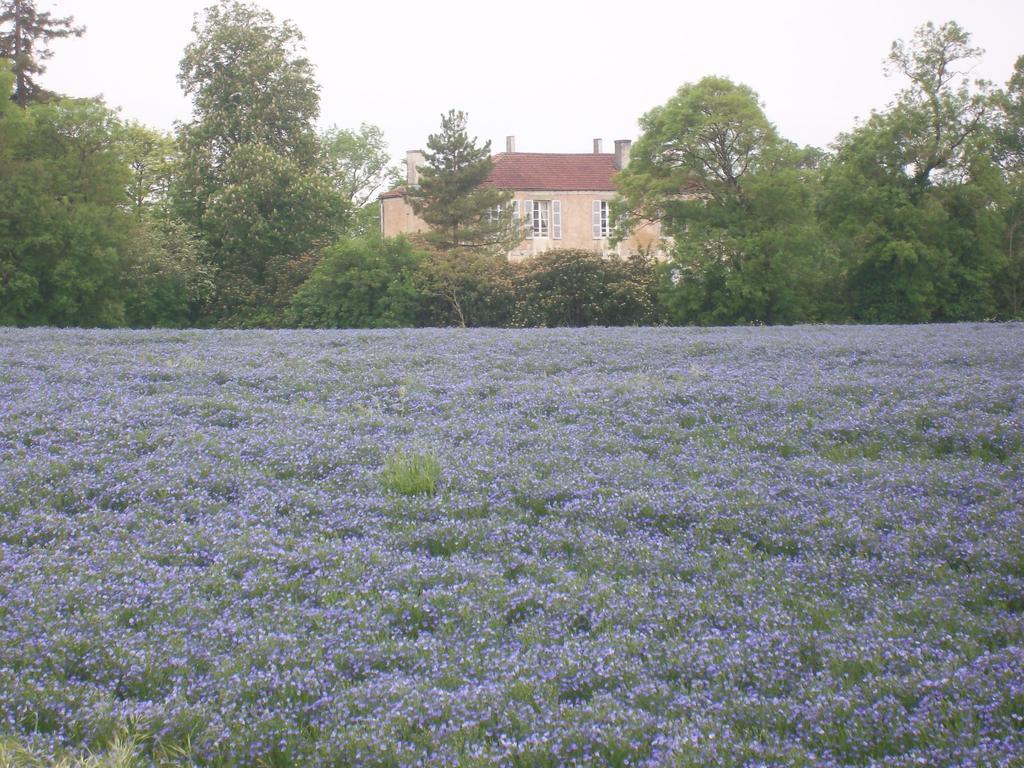 Manoir Angle Bed and Breakfast Blanzay-sur-Boutonne Εξωτερικό φωτογραφία